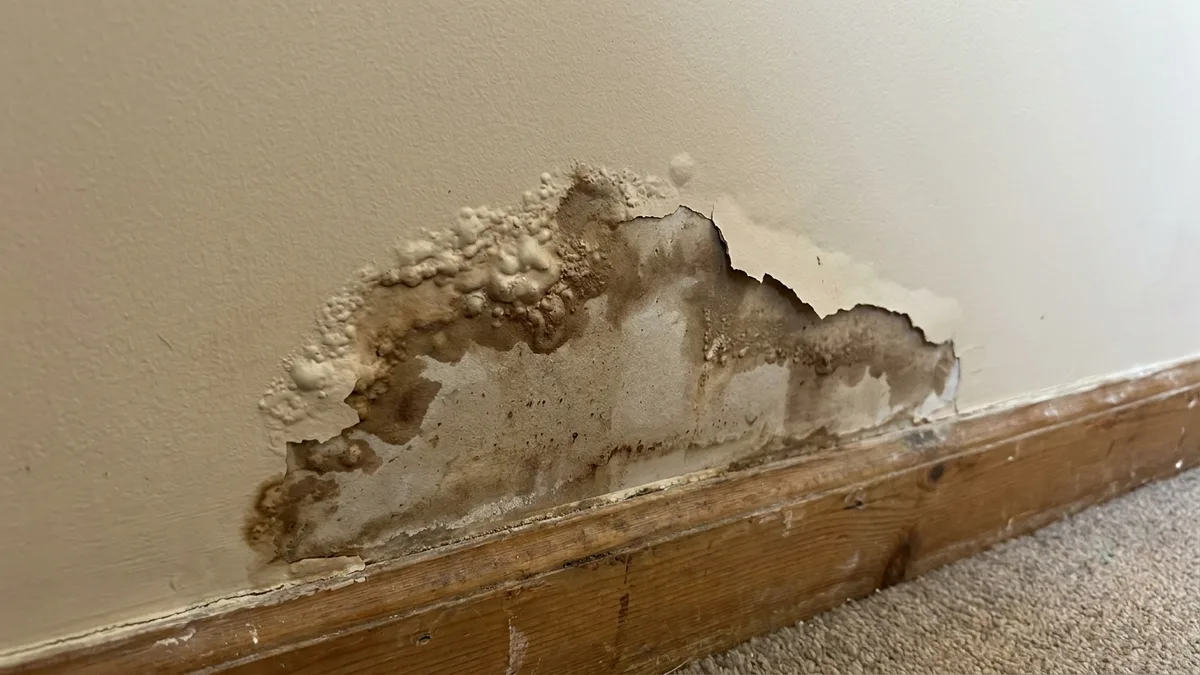 A brown water stain and bubbling paint on a wall, a sign of a hidden leak rather than a blocked drain